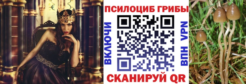 где купить наркоту  Малмыж  Галлюциногенные грибы Psilocybine cubensis 